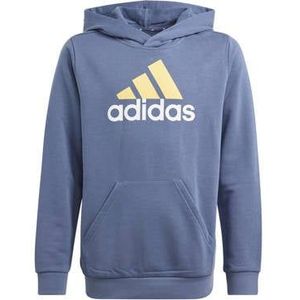 adidas Sweater