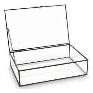 VT wonen opbergbox/ glazen vitrine metaal/glas zwart 21x33x9cm
