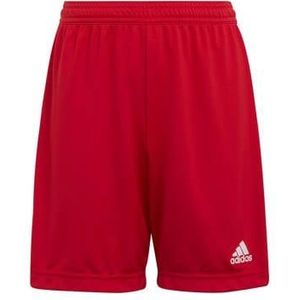 adidas Sportbroek