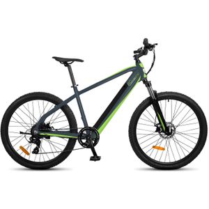 SachsenRad E-Racing Mountain Bike R8 Ranger grau