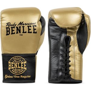 BENLEE Leather boxing gloves TYPHOON
