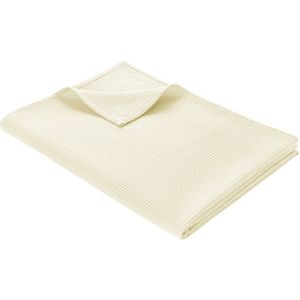 WOHNWOHL® Tagesdecke • Baumwolldecke • Waffelpique Wohndecke • Sofaüberwurf • leichte Sofadecke • ÖkoTex Standard 100  • versch. Größen und Farben