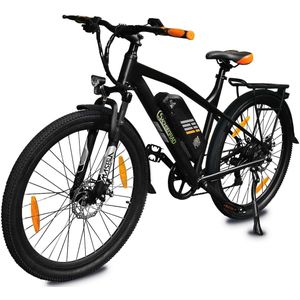 SachsenRad E-Trekking Bike R6T Neo