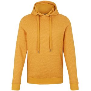 Tom Tailor Hoodie Kapuzensweatshirt