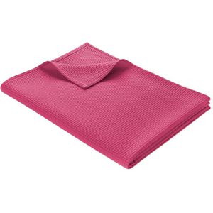 WOHNWOHL® Tagesdecke • Baumwolldecke • Waffelpique Wohndecke • Sofaüberwurf • leichte Sofadecke • ÖkoTex Standard 100  • versch. Größen und Farben