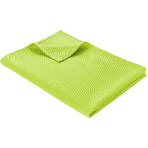 WOHNWOHL® Tagesdecke • Baumwolldecke • Waffelpique Wohndecke • Sofaüberwurf • leichte Sofadecke • ÖkoTex Standard 100  • versch. Größen und Farben