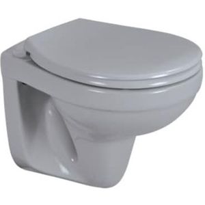 sanicomfort Wand-WC manhattan matt spülrandlos, Tiefspüler, Abgang waagrecht, mit WC-Sitz mit Absenkautomatik