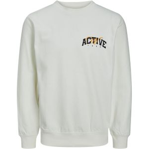 Jack & Jones Junior Sweatshirt BRINK STUDIO Langarmshirt