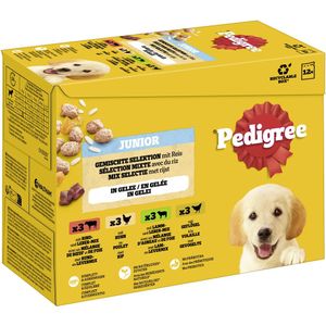 Pedigree Junior Frischebeutel Multipack - 96 x 100 g Gemischte Selektion in Gelee (4 Varietäten)