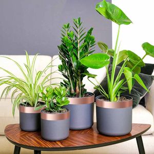 Koperen Landschapsband - Dubbelzijdige Tape - Flexibel - Sterke Hechting