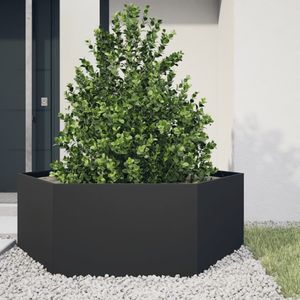 vidaXL Plantenbak zeshoek 138x120x45 cm staal zwart