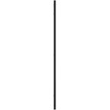 vidaXL-Wandspiegel-rechthoekig-50x80-cm-ijzer-zwart