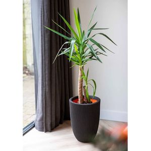 Capi Bloempot Groove elegant 34x46 cm zwart