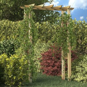 VidaXL Rozenboog 150x60x204 cm - Geïmpregneerd Hout