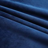 vidaXL-Gordijnen-verduisterend-2-st-met-haken-140x225-cm-fluweel-blauw