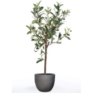 Emerald Kunstplant olijfboom mini 65 cm