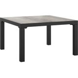 VidaXL Salontafel Tuin 55x55x31 cm - DPC en Staal Grijs