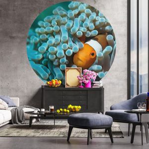 WallArt-Behangcirkel-Nemo-the-Anemonefish-190-cm