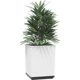 VidaXL Plantenbakken - Set van 2 - 30x30x37 cm - Polypropeen - Wit