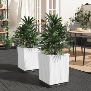 VidaXL Plantenbakken - Set van 2 - 30x30x37 cm - Polypropeen - Wit