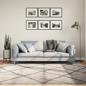 vidaXL-Vloerkleed-shaggy-hoogpolig-modern-200x200cm-beige-en-antraciet