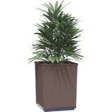 vidaXL Plantenbakken 2 st 30x30x37 cm polypropeen bruin