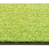 vidaXL-Deurmat-wasbaar-40x60-cm-groen