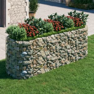 VidaXL Gabion Plantenbak Verhoogd 300x100x100 cm - Gegalvaniseerd IJzer