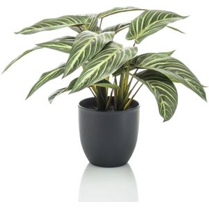Emerald-Kunstplant-in-pot-Zebrina-calathea-38-cm