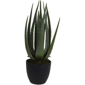 ProGarden Kunstplant in pot Aloe Vera 25x45 cm