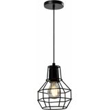 QUVIO Hanglamp industrieel - Draadlamp bol - D 15 cm - Zwart