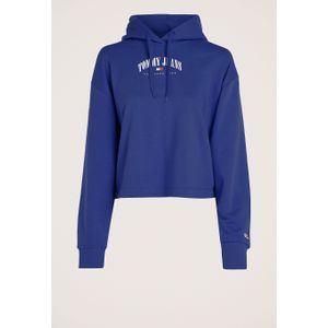 Tommy Jeans Logo Hoodie