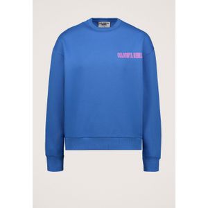 Colourful Rebel Dropped Shoulder Sweater