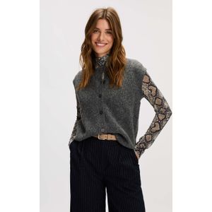 Silvercreek Paddy Spencer