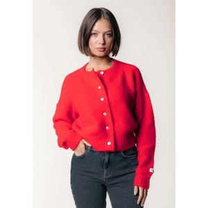 Colourful Rebel - WK117009 - Vest - Regular Fit