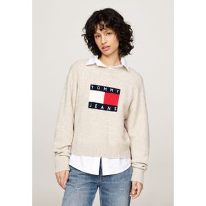 Tommy Jeans Logo Trui