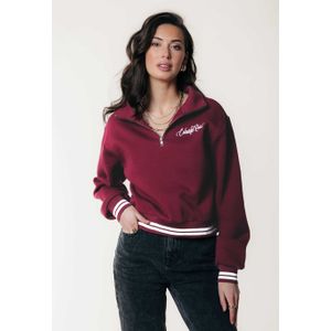 Colourful Rebel Striped Cuff Zip Sweater