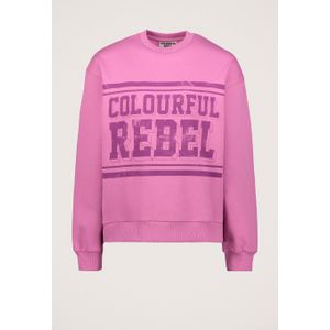 Colourful Rebel Dropped Shoulder Sweater