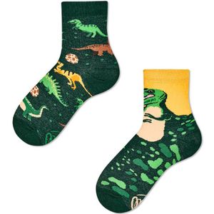 Many Mornings kids sokken the dinosaurs multi kids