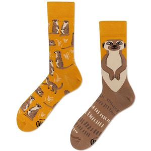 Many Mornings sokken the meerkat geel & beige unisex