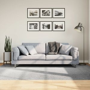 vidaXL-Vloerkleed-IZA-laagpolig-Scandinavisch-160x230-cm-grijs