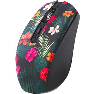 Muis Tnb Amazonia