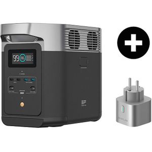 Draagbaar Oplaadstation Ecoflow Delta 2 + Slimme Stekker