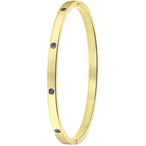 Stalen goldplated armband bangle geboortestenen