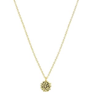 Zilveren goldplated ketting&hanger geboortebloem