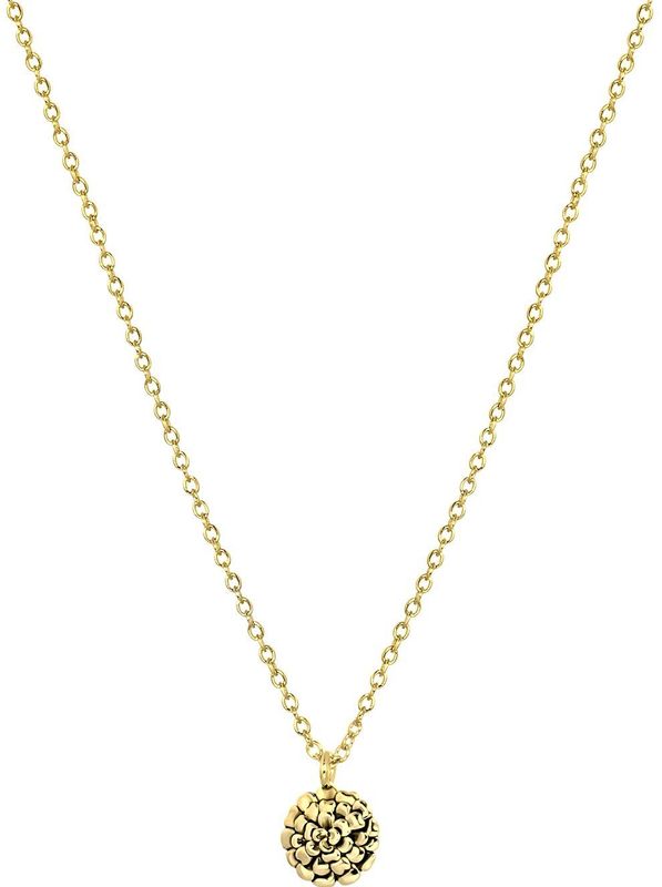 Zilveren goldplated ketting&hanger geboortebloem