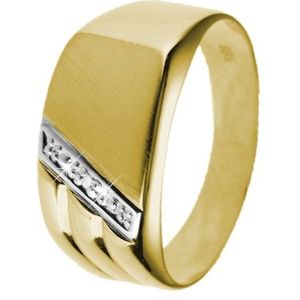 14 karaat geelgouden zegelring met diamant 0.01ct