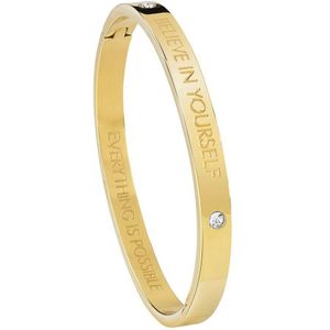 Guess stalen armband bangle goldplated Believe