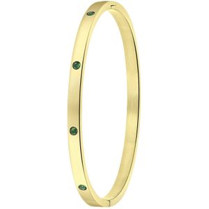 Stalen goldplated armband bangle geboortestenen