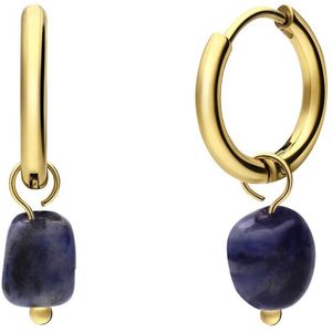 Stalen goldplated oorringen met lapis lazuli